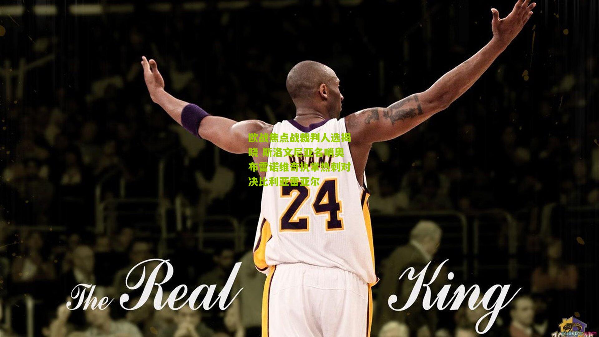 欧战焦点战裁判人选揭晓 斯洛文尼亚名哨奥布雷诺维奇执掌热刺对决比利亚雷亚尔